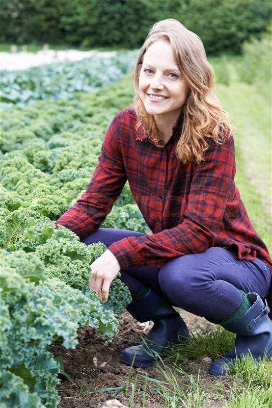 Woman Working In Field On Organic Farm, stock photo