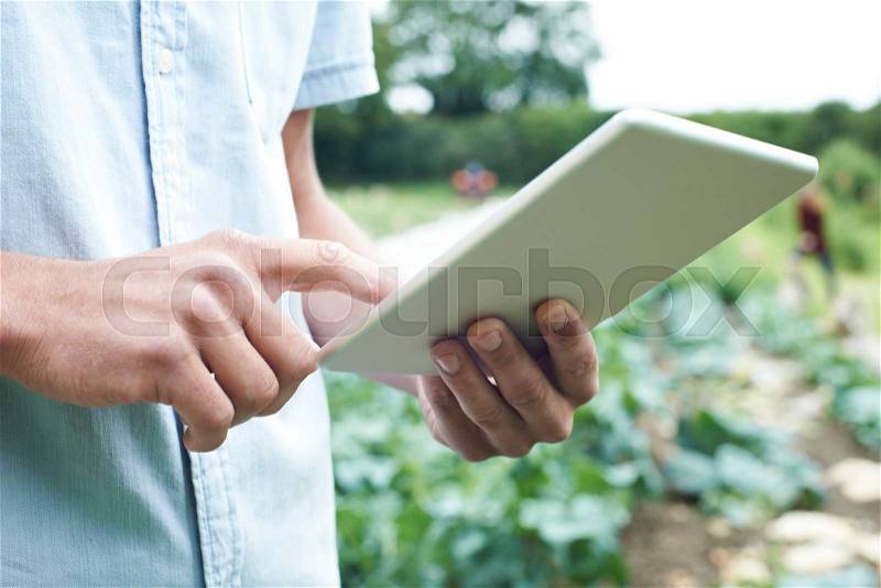 Male Agricultural Worker Using Digital Tablet In Field, stock photo
