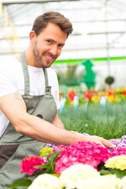 View of a Young attractive man working at the plants nursery, stock photo
