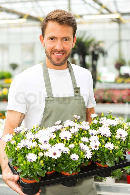 View of a Young attractive man working at the plants nursery, stock photo