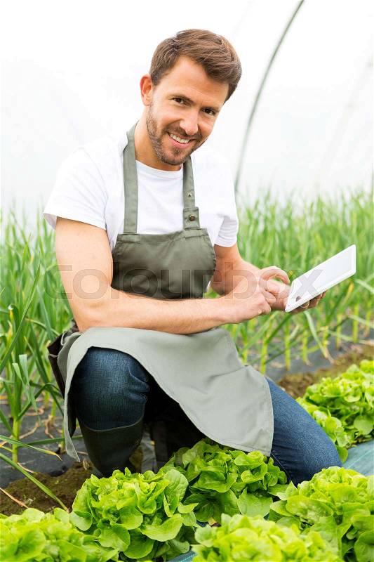 Portrait of an attractive farmer in a greenhouse using tablet, stock photo