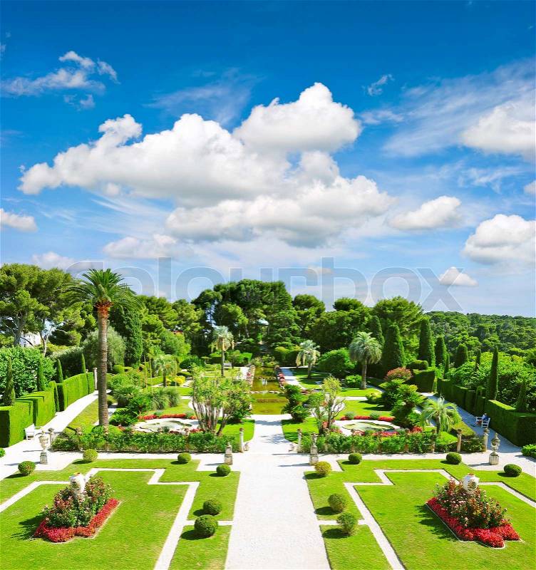 Beautiful mediterranean garden on the french riviera, stock photo