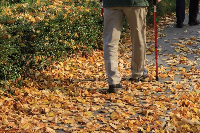 The elderly man with the two walking sticks is walking carefully on the footpath with the many fallen leaves of the trees in the residential area in the village in autumn, stock photo