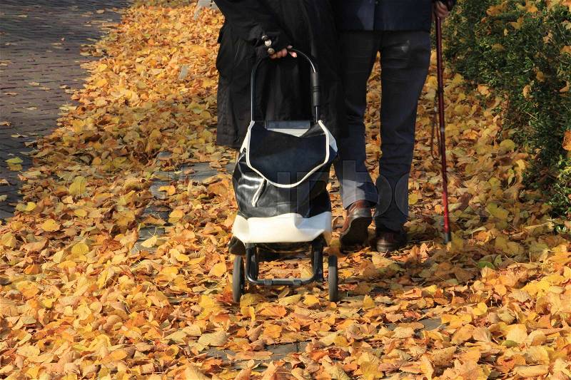 Retired couple, the man with the red walking stick and the woman with the shopping bag on wheels are walking carefully on the footpath with the many fallen leaves from the trees in the residential area in the village in autumn, stock photo