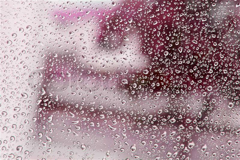 Wet glass with drops of rain fall on the street, stock photo