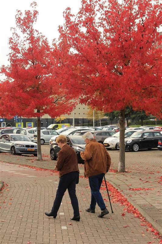 Parking place for cars, maple trees with red leaves and a retired couple, wife and man is walking with a walking stick are walking on the footpath to the shopping centre in the village in fall, stock photo