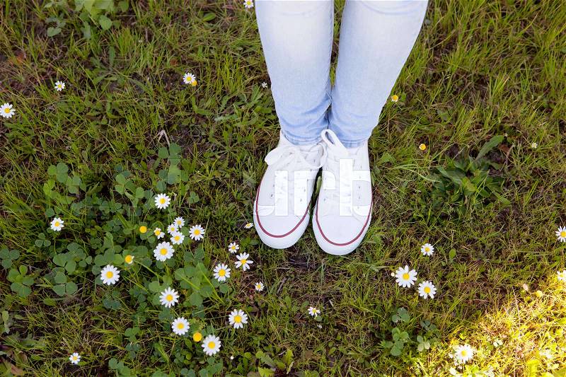 With white sneakers spring receiving in a flowery meadow, stock photo