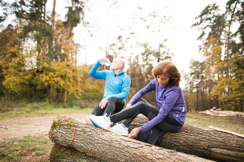Senior runners in nature. Woman and man sitting on wooden logs, resting, drinking water, stock photo