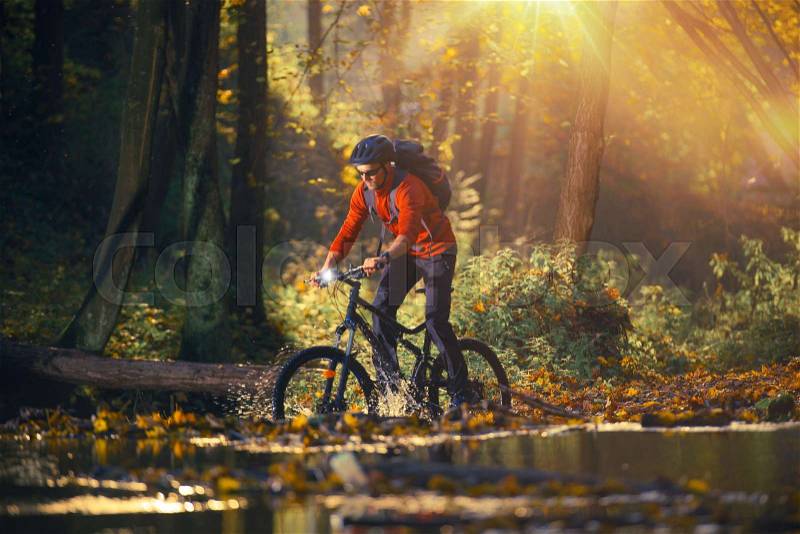 Bike Ride in the Autumn Season Forest. Caucasian Men on the Mountain Bike, stock photo