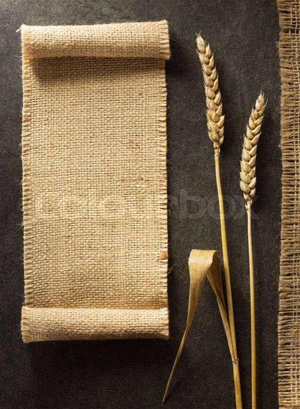 Ears of wheat on black background texture, stock photo
