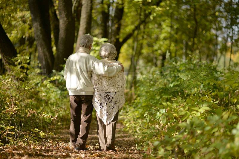 Happy elderly couple goes away through the alley in autumn park, stock photo