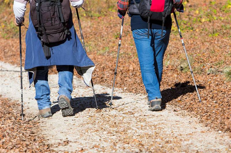 Two older men walking by hiking trail, stock photo