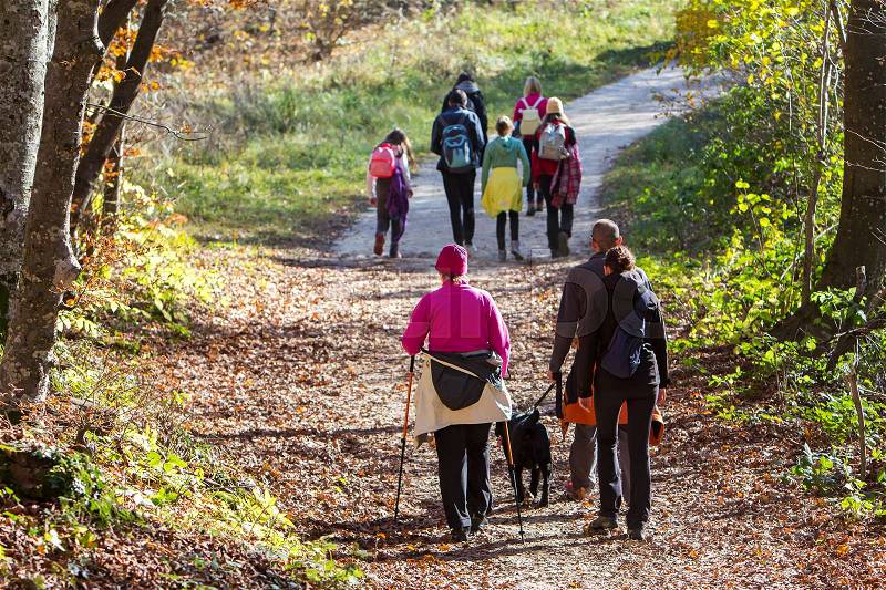 Group of people walking by hiking trail, stock photo