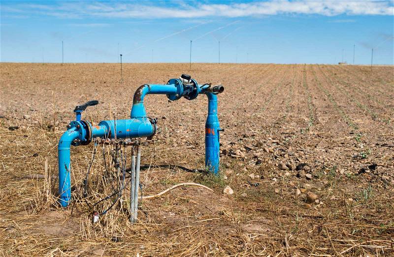 Agriculture pipes and tap water for watering plants, stock photo
