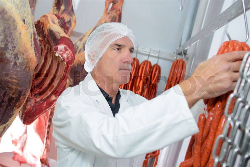 Processed meat and sausages, stock photo
