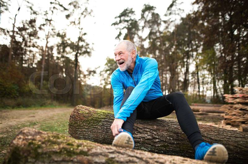Senior runner in nature. Man sitting on wooden logs, resting, stretching, tying shoelaces, stock photo
