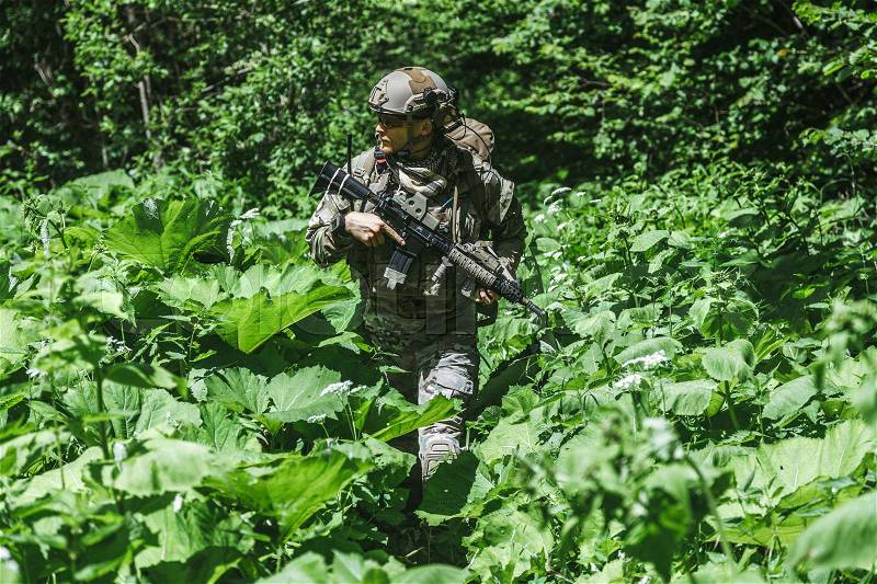 United states army ranger in the forest, stock photo