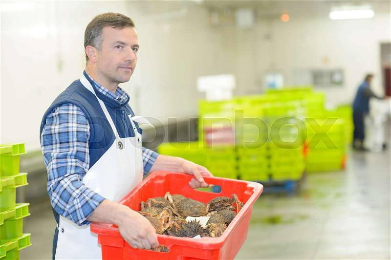 Man carrying crate of crabs, stock photo