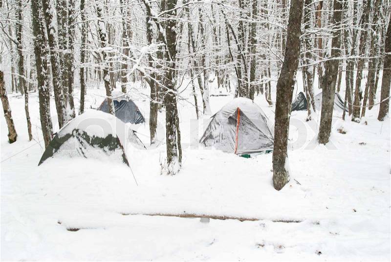 Winter tent camp in the snow forest, stock photo