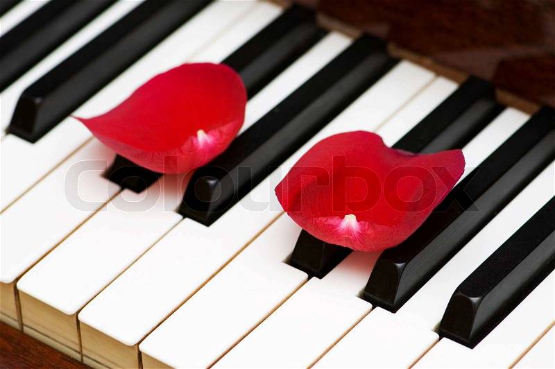 Romantic concept - rose petals on piano keys, stock photo