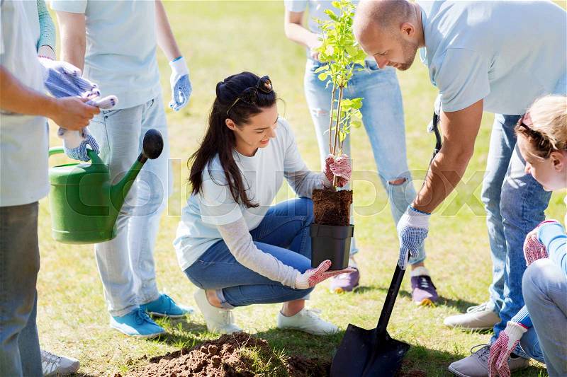 Volunteering, charity, people and ecology concept - group of happy volunteers planting tree and digging hole with shovel in park, stock photo