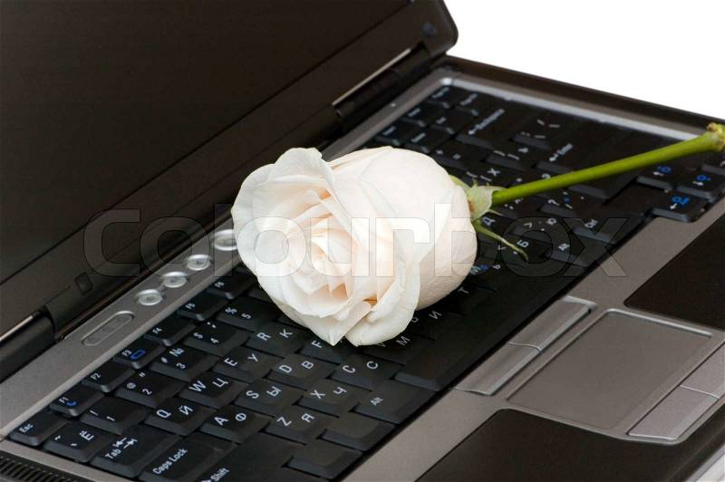 Попкорн (общество, политика) - Том L - Страница 3 2244920-white-rose-on-the-black-laptop-keyboard