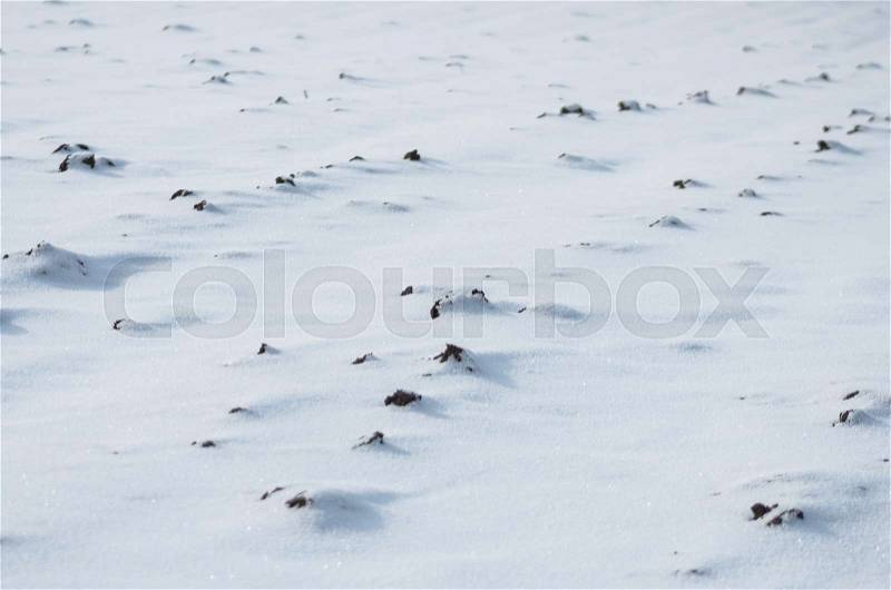 Arable land under snow, winter agriculture background, stock photo