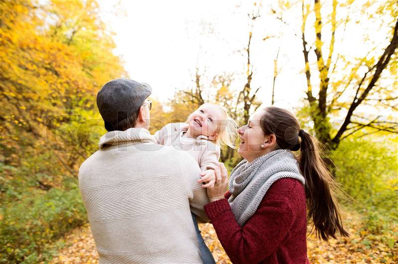 Beautiful young family on a walk in forest. Mother and father with their daughter in warm clothes outside in colorful autumn nature. Rear view, stock photo