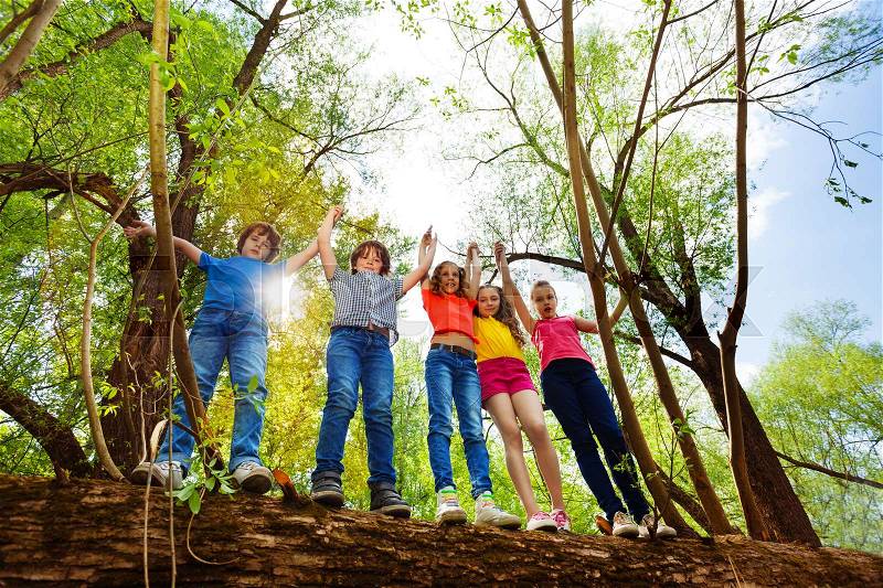Five happy teenage boys and girls, standing in a row on a fallen tree, holding their hands up in the forest, stock photo