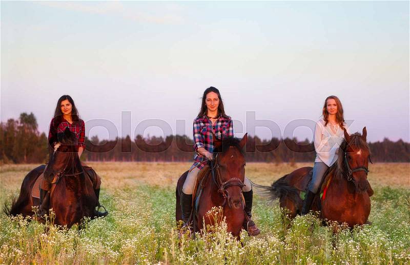 Three beautiful female equestrians going astride the chestnut brown horses in the field at sunset, stock photo