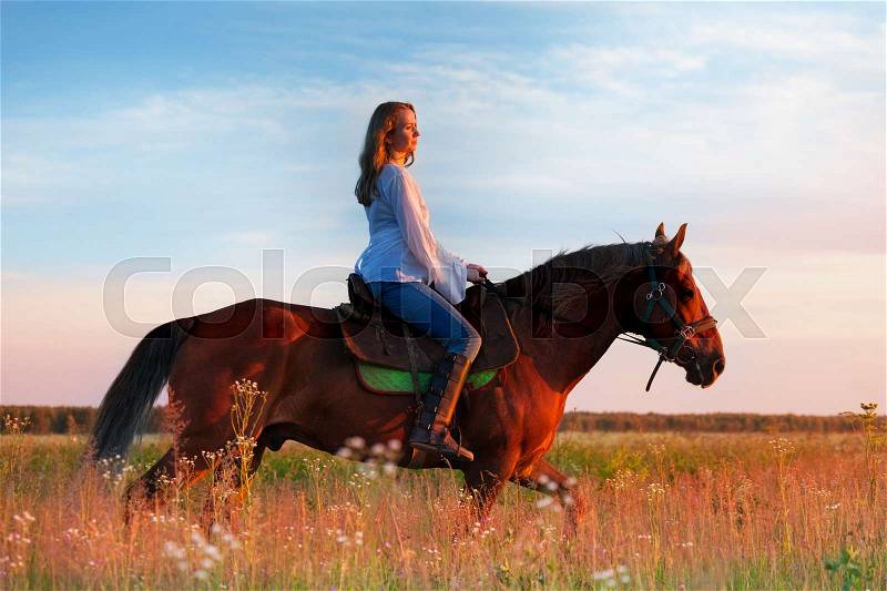 Side view of female equestrian riding beautiful bay horse in a field at sunset, stock photo