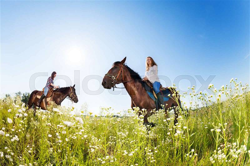 Two female equestrians riding purebred horses in the flowery meadows at sunny day, stock photo