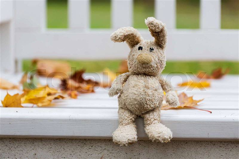 Season, childhood and loneliness concept - lonely toy rabbit on bench in autumn park, stock photo