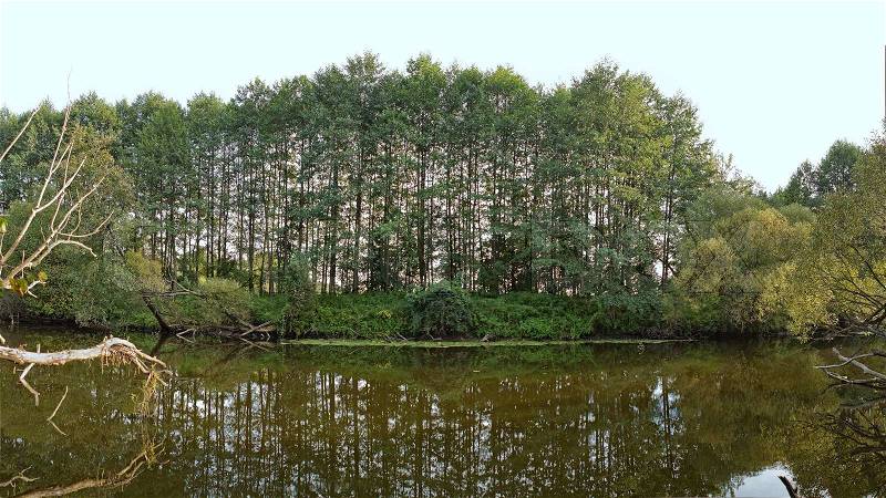 Panorama forest river with trees reflected in water, stock photo