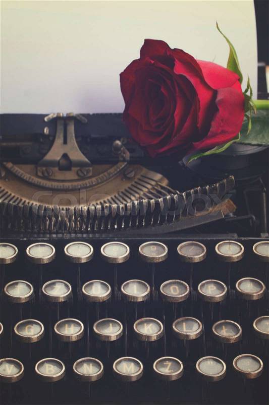 One red rose on vintage typewriter with blank page, retro toned, stock photo