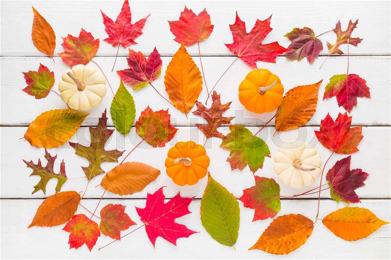 Autumn pattern composition of colorful leaves and pumpkins. Top view, stock photo
