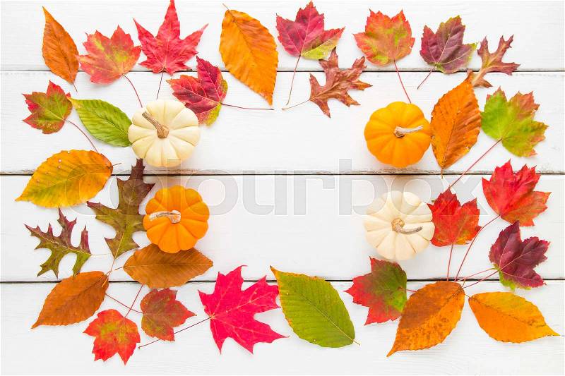 Autumn frame composition of colorful leaves and pumpkins. Top view, stock photo