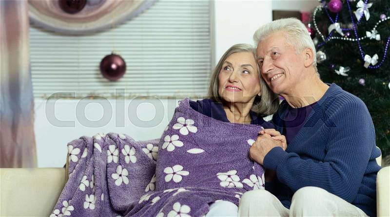Happy senior couple sitting on sofa near the Christmas tree, stock photo