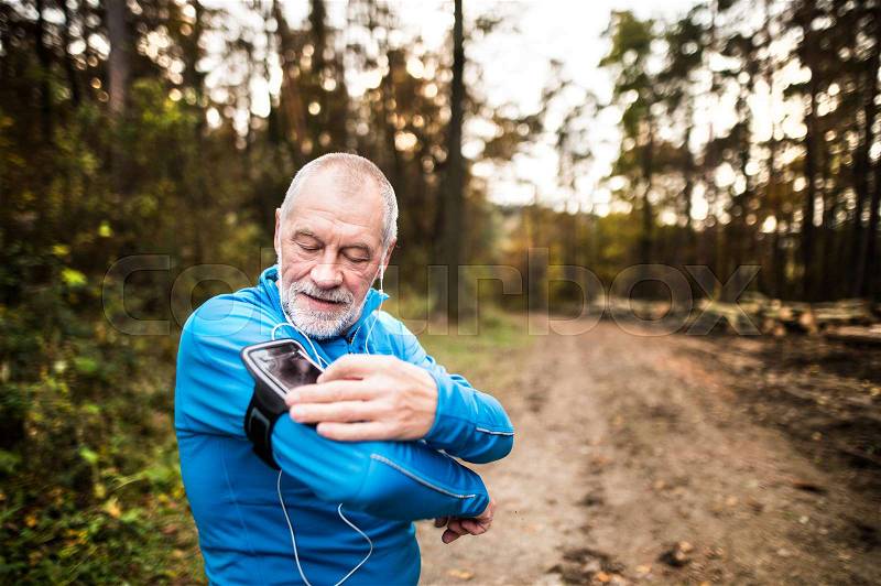 Senior runner in nature. Man with smartphone and earphones, adjusting settings on armband for phone. Listening music or using a fitness app. Using phone app for tracking weight loss progress, running goal or summary of his run, stock photo