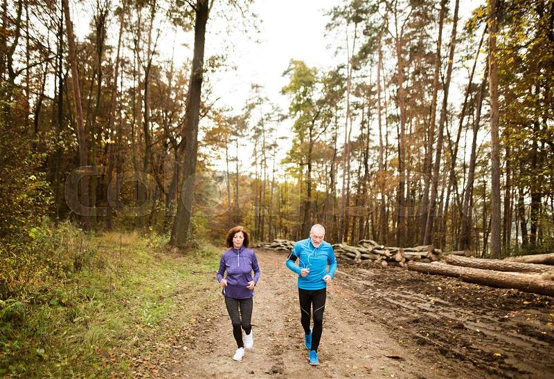 Beautiful active senior couple running together outside in sunny autumn forest, stock photo