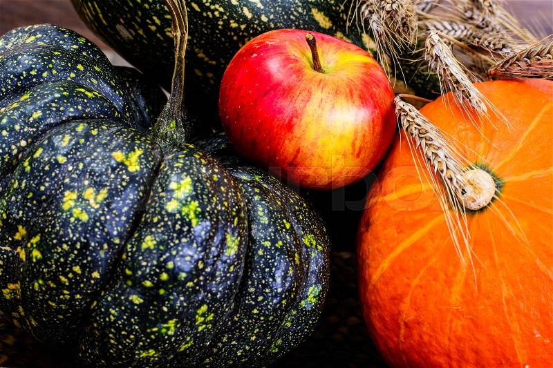 Harvest of different pumpkins, pumpkin seeds, apples and wheat ears close-up. Studio Photo, stock photo