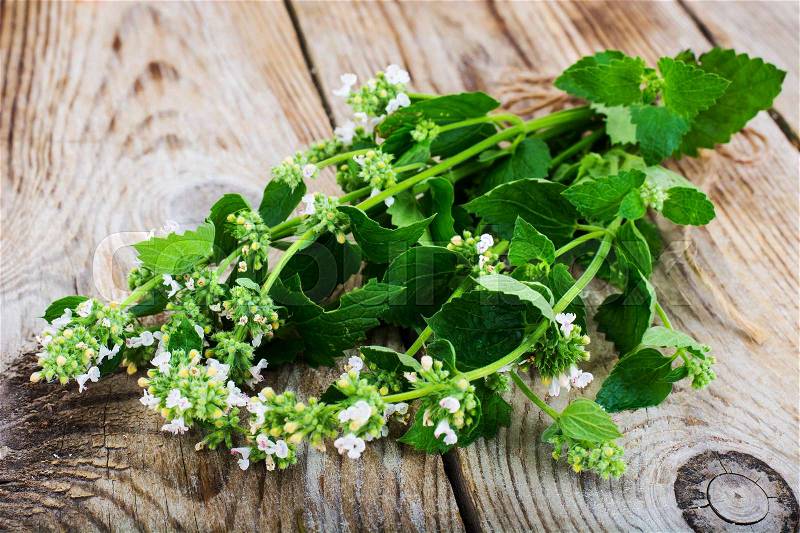 Mint Flowers on Wooden Rustik Background Natural Photo, stock photo