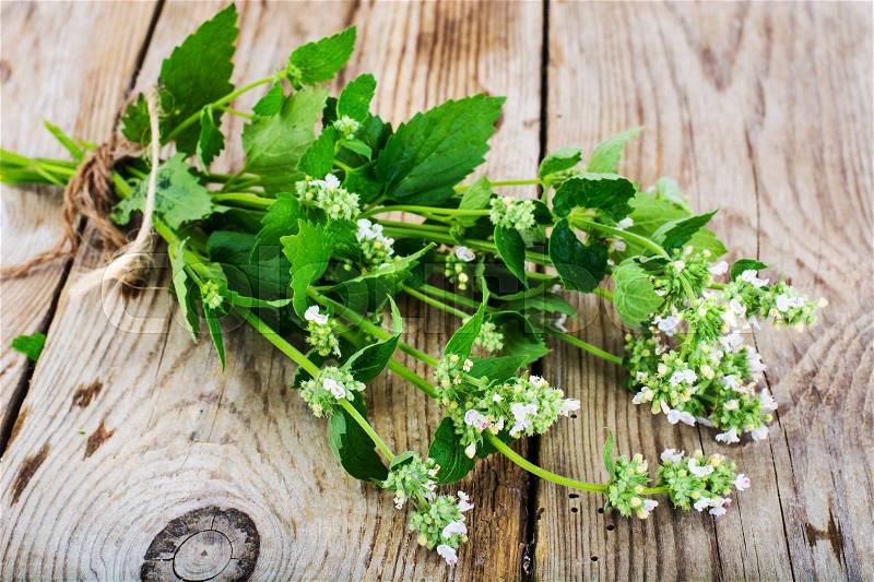 Mint Flowers on Wooden Rustik Background Natural Photo, stock photo