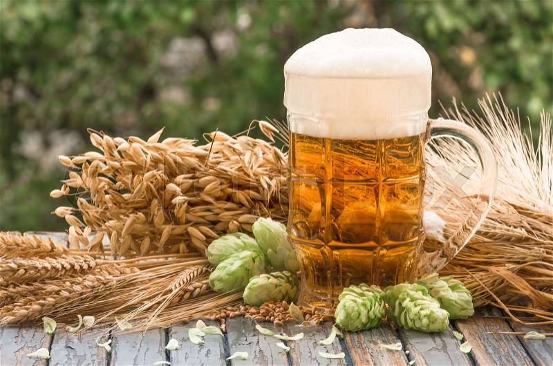 Large glass of light beer, malt, hops, barley ears standing on an old wooden table dyeing, natural background, stock photo