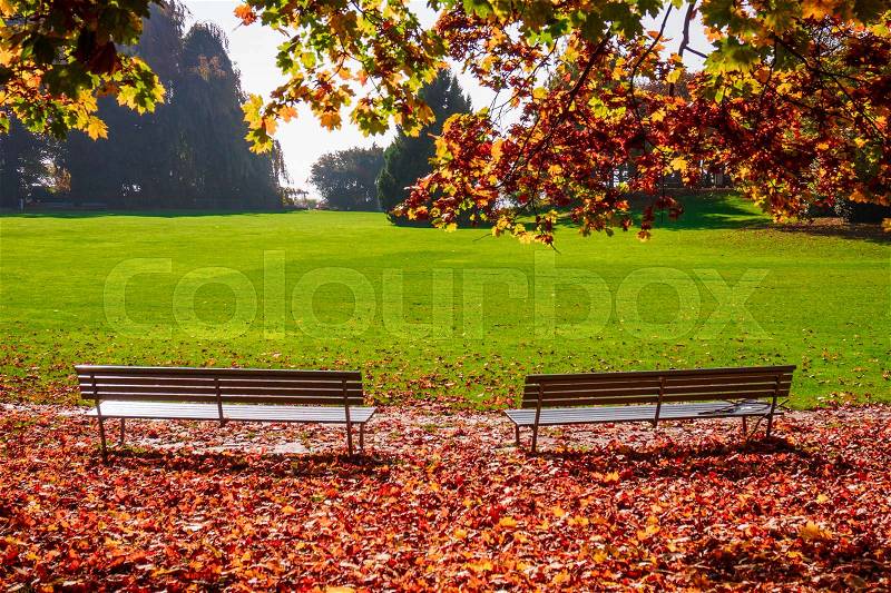 Beautiful autumn in city park. Autumn scene, stock photo