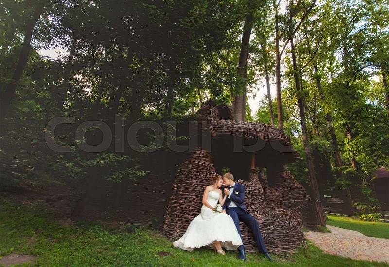 Kissing couple near wooden house in summer forest, stock photo