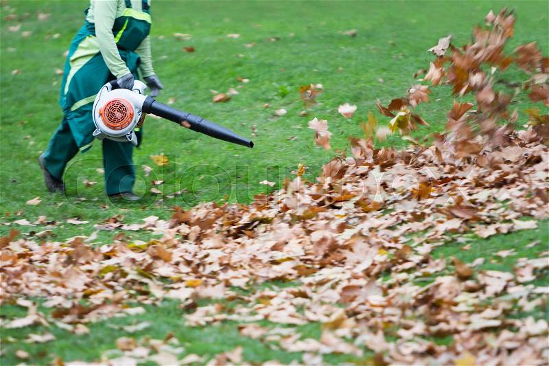 Worker in the park in autumn collects leaves with leaf blower, stock photo