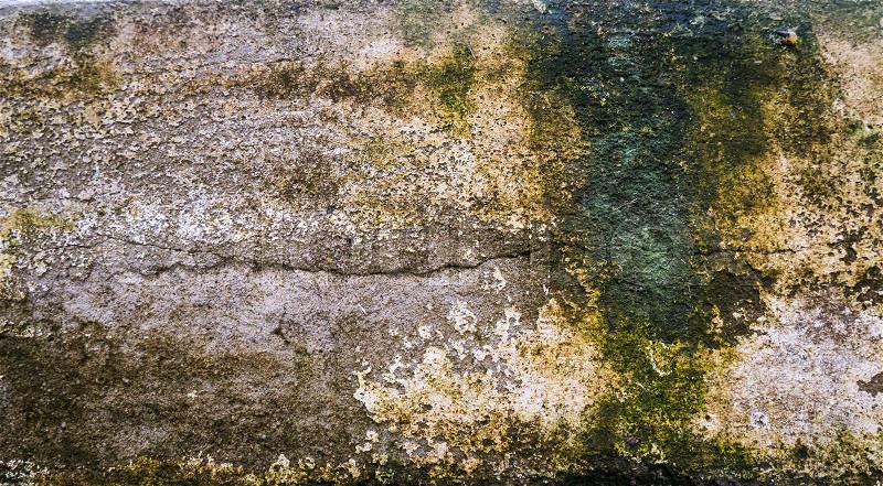 Wall with moss texture back ground., stock photo