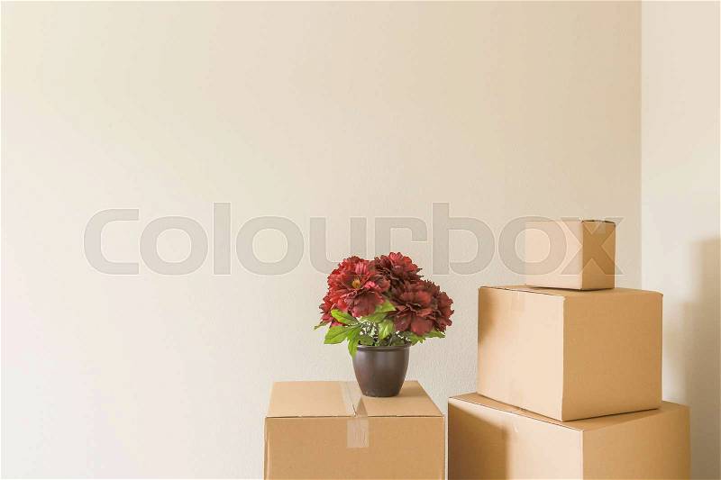 Variety of Packed Moving Boxes and Potted Plants In Empty Room with Room For Text, stock photo
