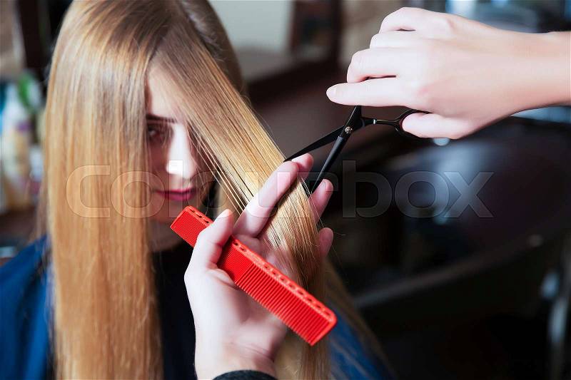 Hairdressing with scissors and comb to young female with long hair, stock photo